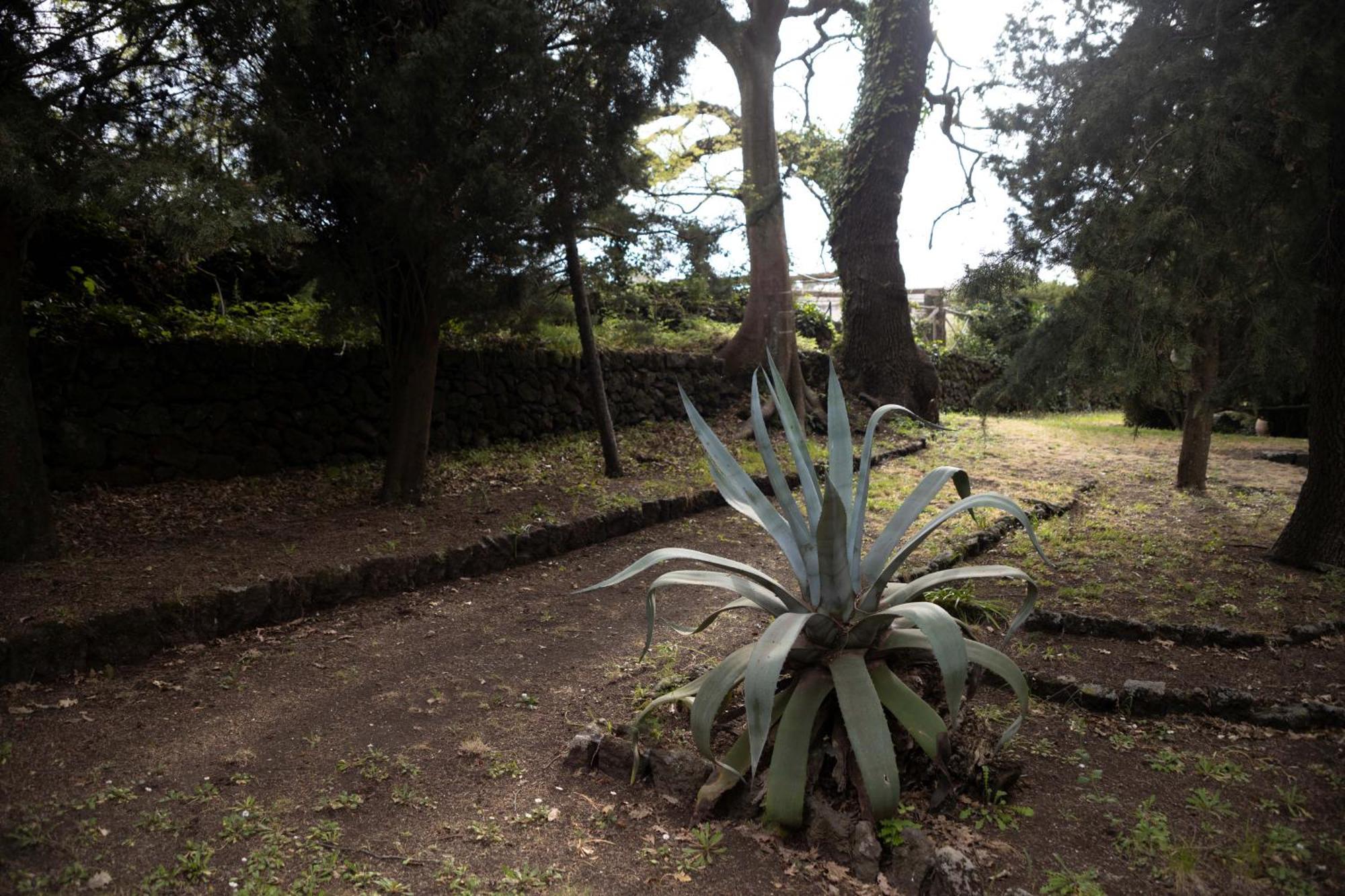 Villa Parco Statella Montelaguardia Esterno foto