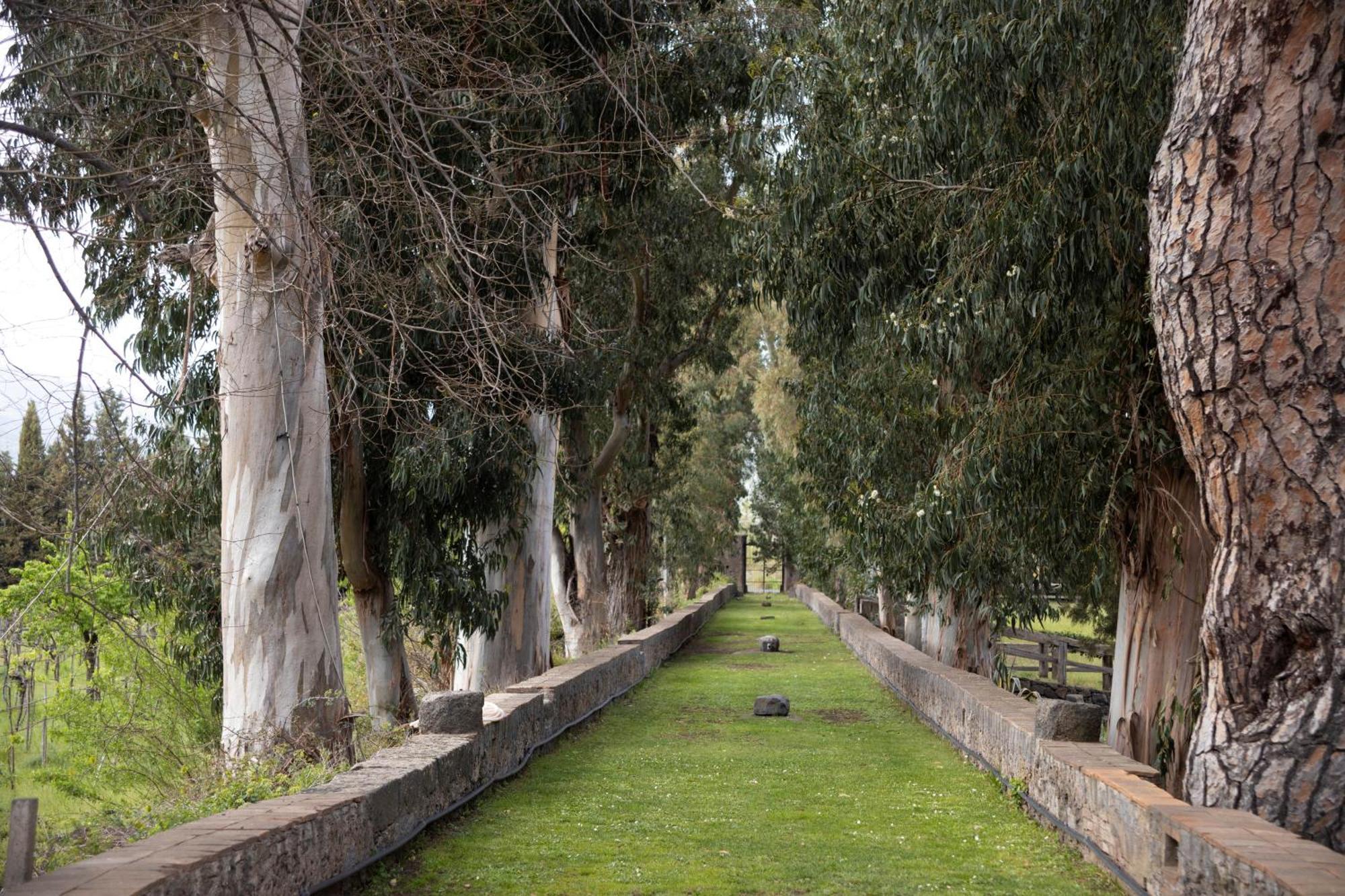 Villa Parco Statella Montelaguardia Esterno foto