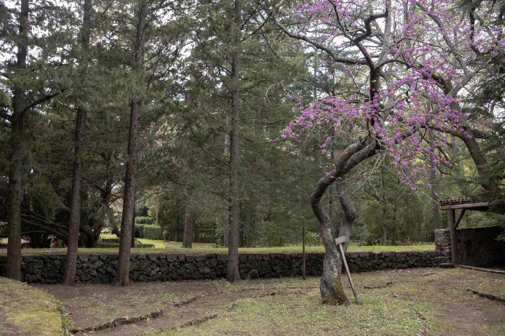 Villa Parco Statella Montelaguardia Esterno foto