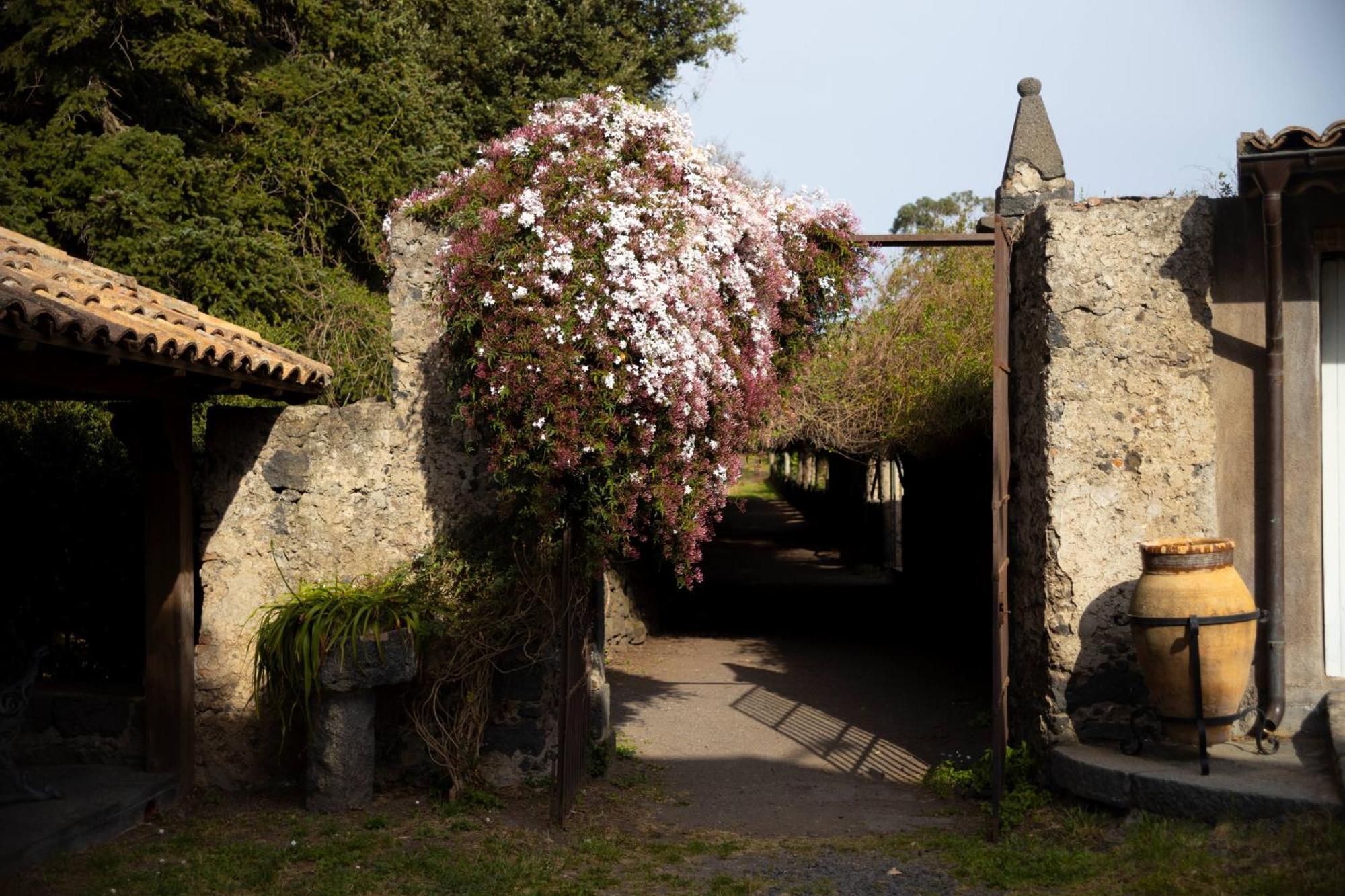 Villa Parco Statella Montelaguardia Esterno foto