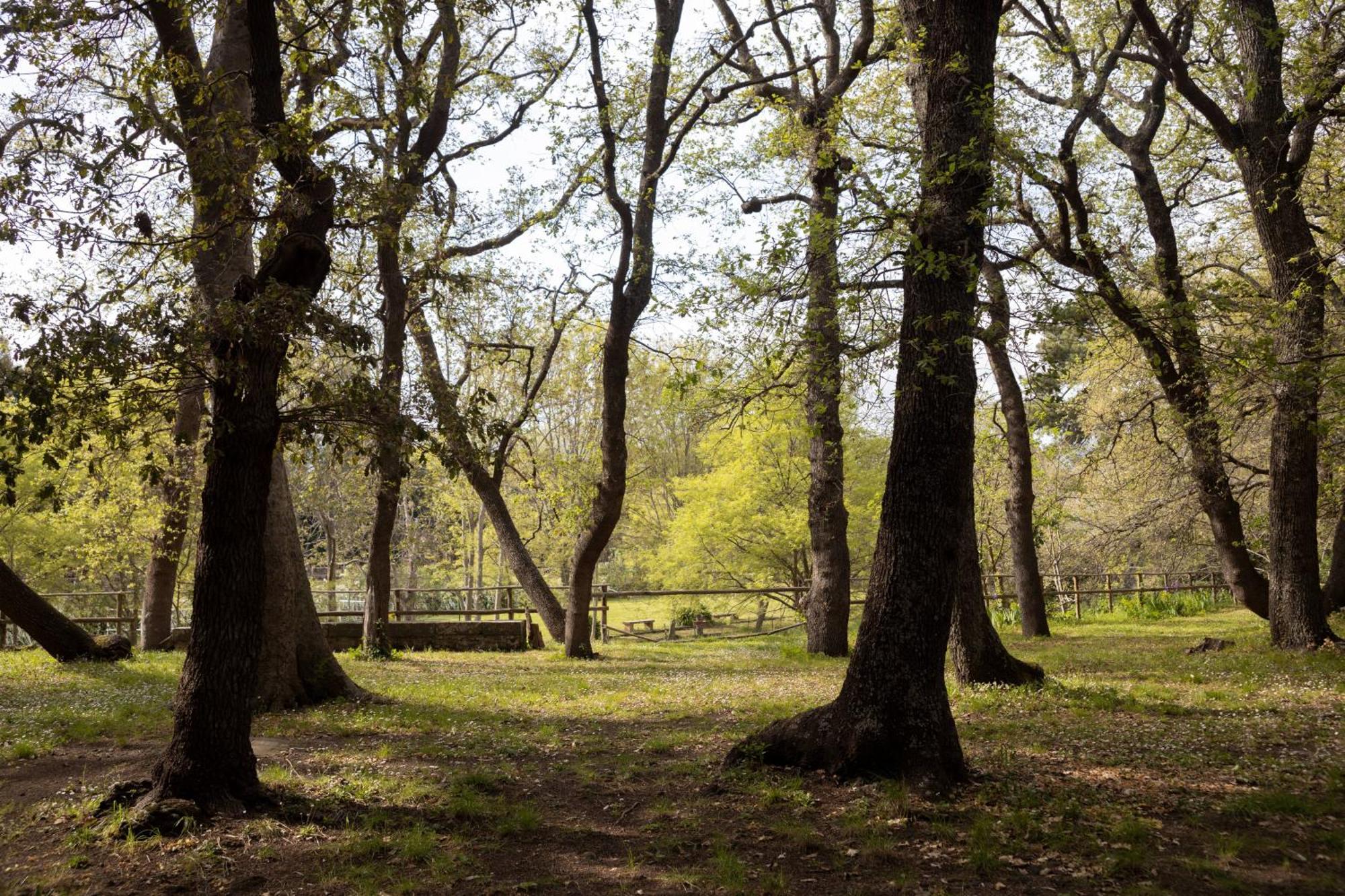 Villa Parco Statella Montelaguardia Esterno foto